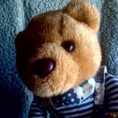 Hola soy Pancho, y soy un oso :P Sígueme en TikTok!🔥