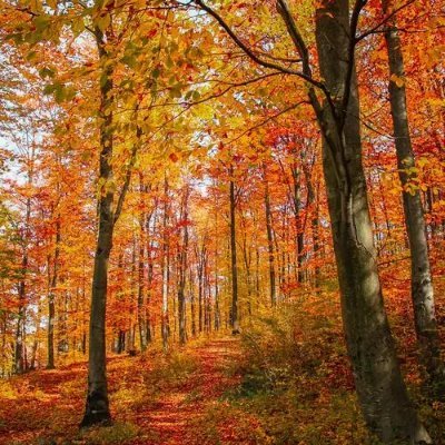 shuitngto1's profile picture. 