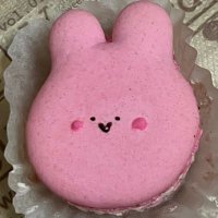 ぴぴ (@pirino_purin) Twitter profile photo