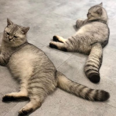 Trong cuộc sống vợ chồng