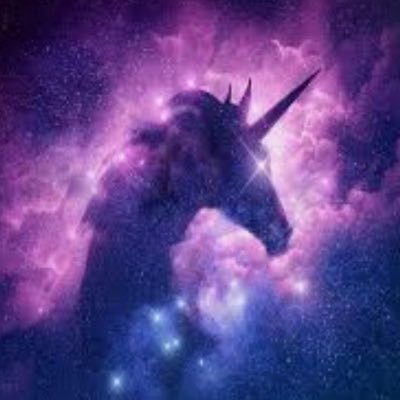 Purple unicorn Profile