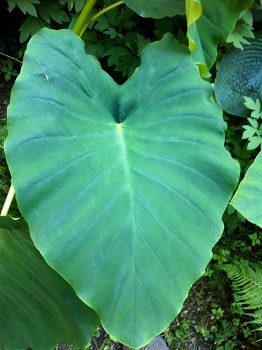 1047's profile picture. 