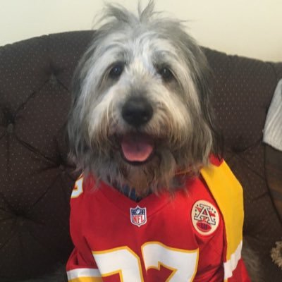 I Love KC Chiefs, Airplanes, Fashion & My Dog, TANK