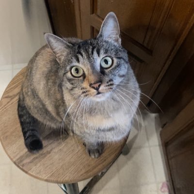 sarahlynn_tm's profile picture. I like creating spotify playlists and long walks on the beach