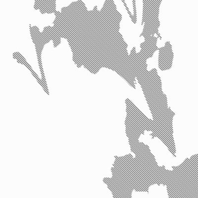 LiamKane7's profile picture. 