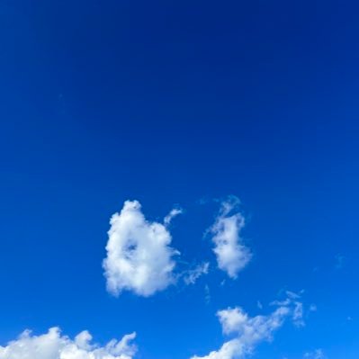 digitallearn522's profile picture. 