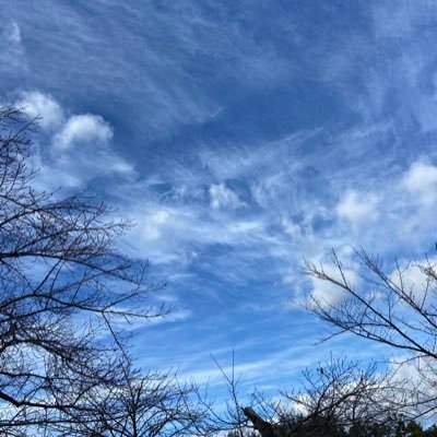 ZzeFZgJG8HnYEc5's profile picture. Twitter初心者。1億円のさようならで北斗くんに出会い、YouTubeでスト沼にはまりました💎北斗くん寄りの箱推し🌟子持ちover40（4児の母）🎶ヘッダーはりこさん@ststlimitです💕