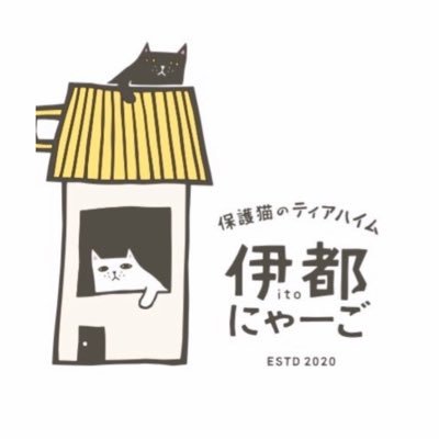 2020年3月1日に福岡市初の就労継続支援B型事業所として保護猫カフェをオープンしました。かわいい猫さんがいっぱい🐈一般社団法人福岡動物愛護協会   保護猫のティアハイム　伊都にゃーご  E3101077(展示) E3101076(保管)  登録年月日：2020年2月28日 有効期間：2025年2月27日  長あかね