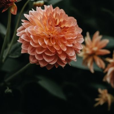 TheresaIverso17's profile picture. The best way out is always through.