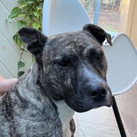 Chris Casey (@_chris_casey) 's Twitter Profile