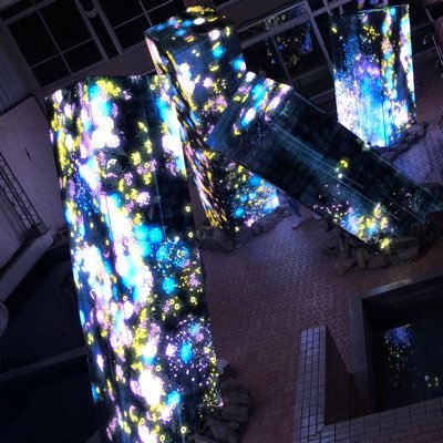 K_KTIN666's profile picture. FUK. 温泉♨️ 飲み🍺 自然🏔 プロレス29.