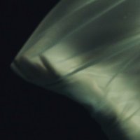 David (@on_dwe) 's Twitter Profile