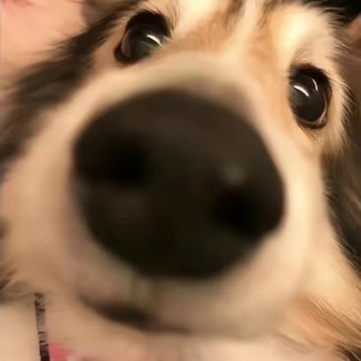 ForGetendia's profile picture. 