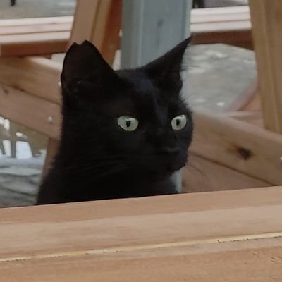 gungord20's profile picture. Nelerin yaşandığından bihaberim