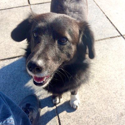 TuxPaul's profile picture. SQL2600@linuxrocks.online or SyntaxError@infosec.exchange
