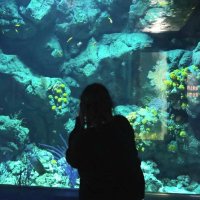 眠たい😴 (@s8d4x6h4) 's Twitter Profile