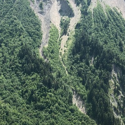 climax_earth's profile picture. 