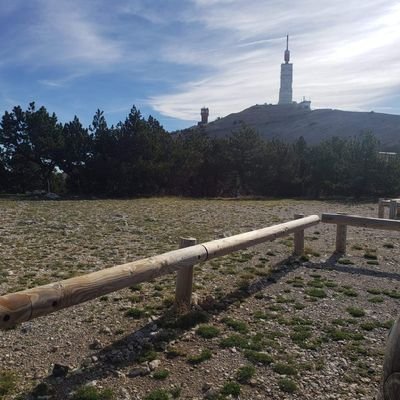 Byboh_'s profile picture. 