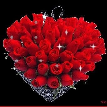 javan_singj's profile picture. 