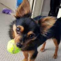 Loty (@loty1000) 's Twitter Profile