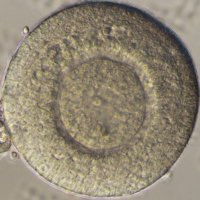 H.TASAKI (@imtasaki) 's Twitter Profile Photo H.TASAKI (@imtasaki) 's Twitter Profile Photo