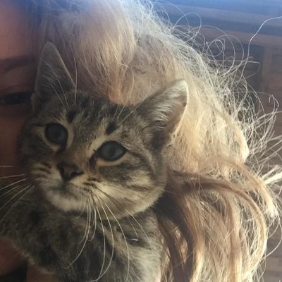 eliffy11's profile picture. UÜ MBG