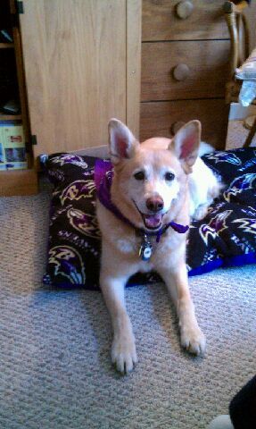 REXXLEE's profile picture. 