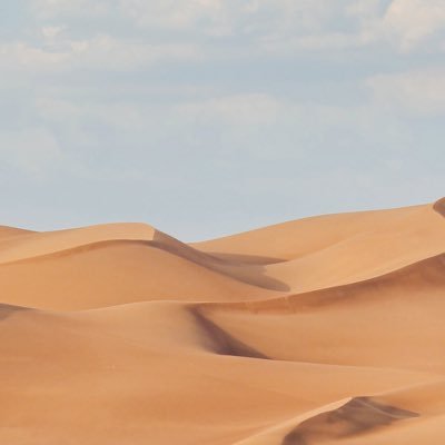 solicit1prelim9's profile picture. 水ばっかのんでる黒髪/ときどき黒縁眼鏡/