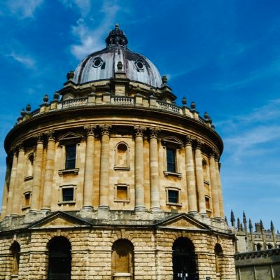 mayuki_2001's profile picture. journalist