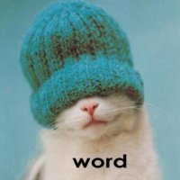 MeowWithoutFear (@meowwithoutfear) 's Twitter Profile