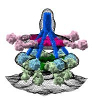 #EMBOantibodies2023

Join us! This is your opportunity to contribute to the program and showcase your work on an international platform.