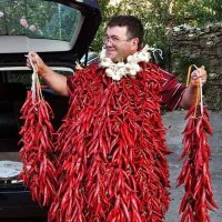 Τσούσκος 🌶️🌶️🌶️ (@steliostso) 's Twitter Profile