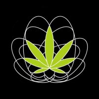Infocannabis(@infocannabis) 's Twitter Profile Photo