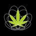 Infocannabis (@infocannabis) Twitter profile photo