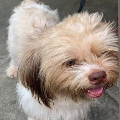 shyrughhh's profile picture. Momento mori: momento vivere