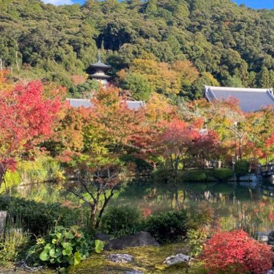 KMUj0xjVk7mSohQ's profile picture. 