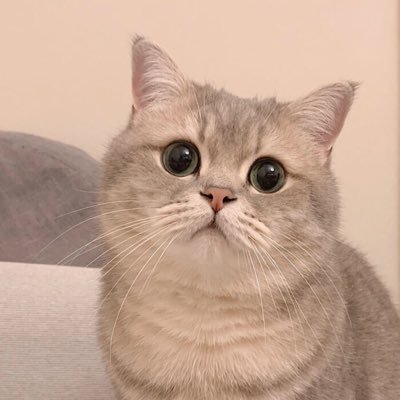 Fefw71346304's profile picture. 学理论物理哪有不疯的。