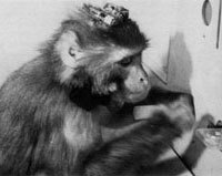 failure56's profile picture. ×情報系大学院生/趣味はバイク、◯ダメ社会人/バイクは仕事/最近v-twinの毒が回ってきた感染者/SV1000S/8thGalant/除菌率89％…complete/CBR cup/Gladius400/CBR600RR-21YM