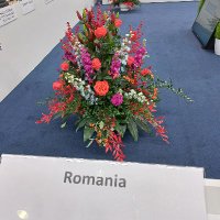 Permanent Mission of Romania to Vienna 🇷🇴(@RO_Vienna) 's Twitter Profile Photo