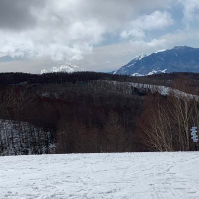 svhhQRjtzOj6q7O's profile picture. 栃木住みです！