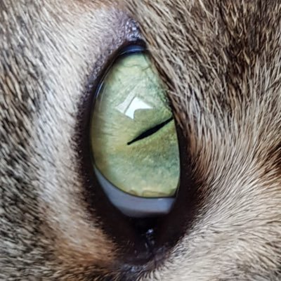 ReposrFr's profile picture. 