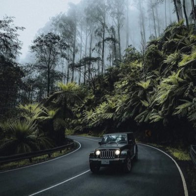 bandembor's profile picture. 