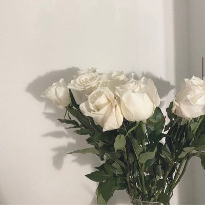 amjad__12's profile picture. 