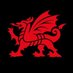 Croeso Cymru 🏴󠁧󠁢󠁷󠁬󠁳󠁿 (@croesocymru) Twitter profile photo