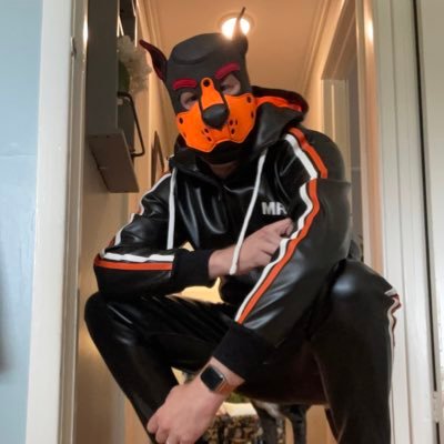 Gay married poly pup here looking to meet other pup and kink friends. Level 42. #gaypup #beta #geekypup #soberpup Some NSFW content. 18+ please