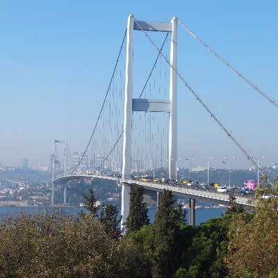 Revolutionising Operational Safety and Economy for High-value Infrastructure using Population-based SHM (ROSEHIPS), a UKRI EPSRC funded research grant