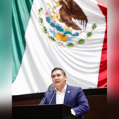 Diputado Federal por el Estado de México 🇲🇽 || LXV Legislatura. Licenciado en Derecho.