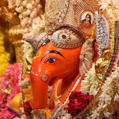 ankitpoddarr's profile picture. 