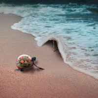 TurtleHead.Egld (@turtlehead_egld) 's Twitter Profile