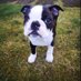 RIP Beautiful Magnus (@rip_magnus) Twitter profile photo RIP Beautiful Magnus (@rip_magnus) Twitter profile photo